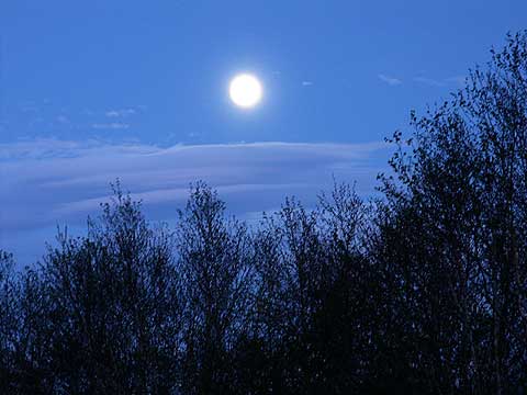 満月
