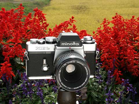 今日のクラシックカメラ（ミノルタXEb）