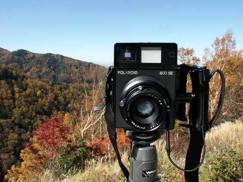 今日のクラシックカメラ（ポラロイド600SE）