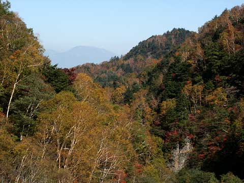 蓼科から見た浅間