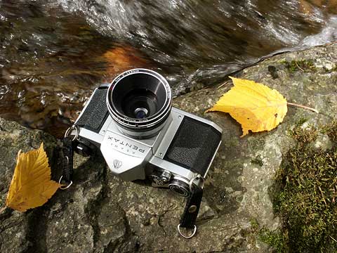 今日のマクロレンズ（マクロキラー+ペンタックスSV）