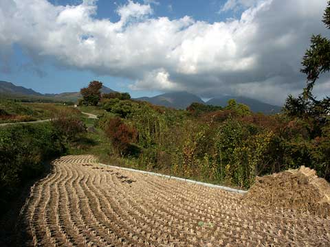 菱平からの浅間