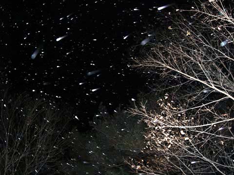 アトリエにも雪