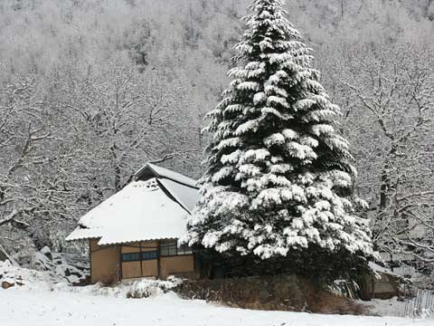 雪の中の民家