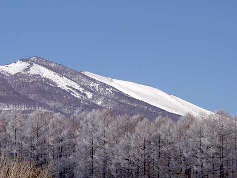 浅間山と霧氷