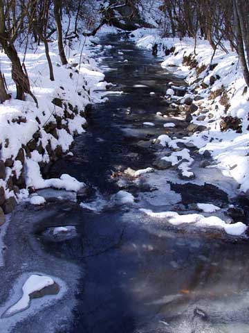 川も凍った