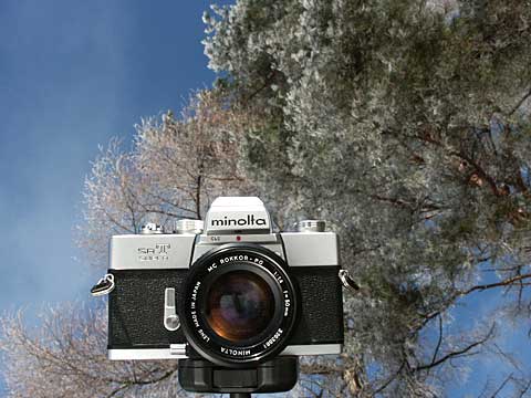 今日のクラシックカメラ（ミノルタSRTスーパー）