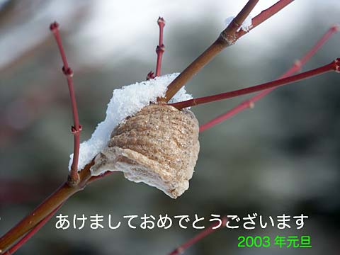 あけましておめでとうございます