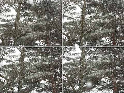 雪を写すシャッター速度は？