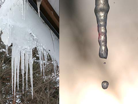 つららからの水滴