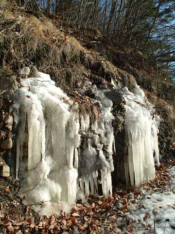 土手にできたつらら