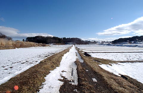 雪残る田んぼ