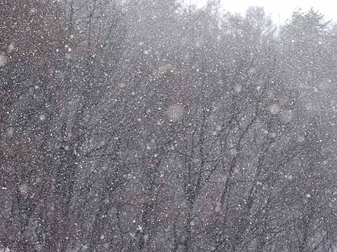 雪は続く