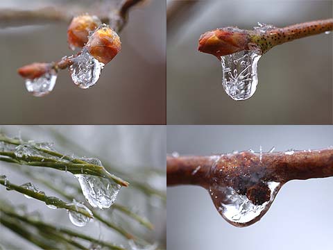 凍った水滴