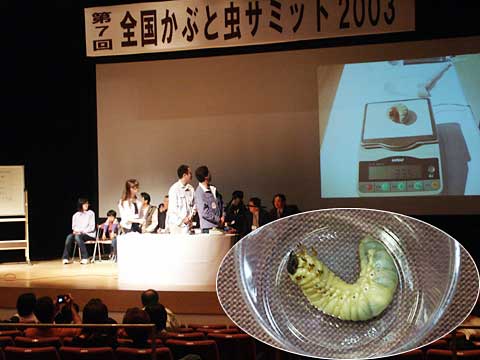 かぶと虫サミット