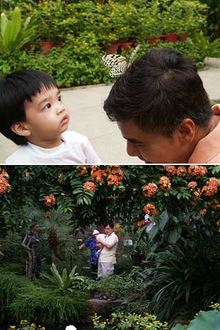 ペナンバタフライファーム