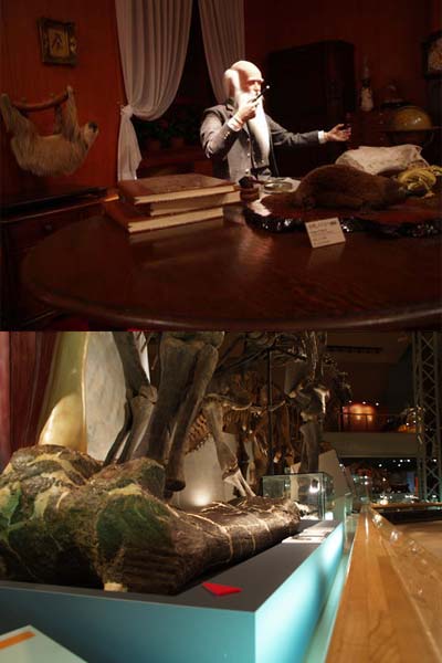 群馬県立自然史博物館博物館