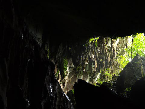 鍾乳洞