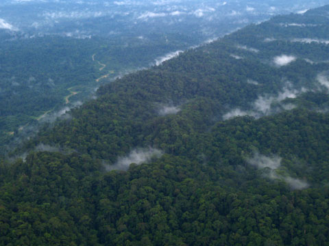 ムルからミリへ