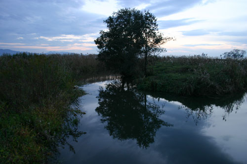にほんかい自然写真学校