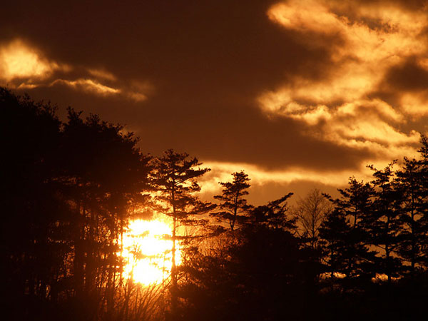 アトリエからの初日の出