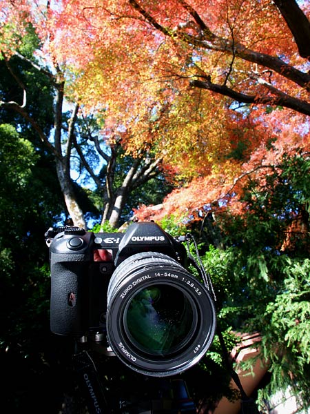 デジタルカメラのこと