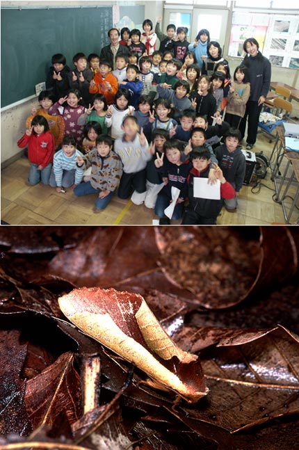 京都の小学校での授業