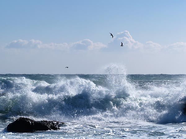 早春の房総半島
