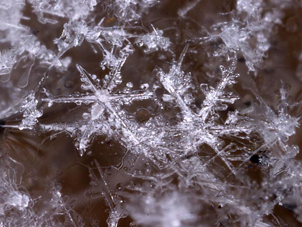 雪の結晶