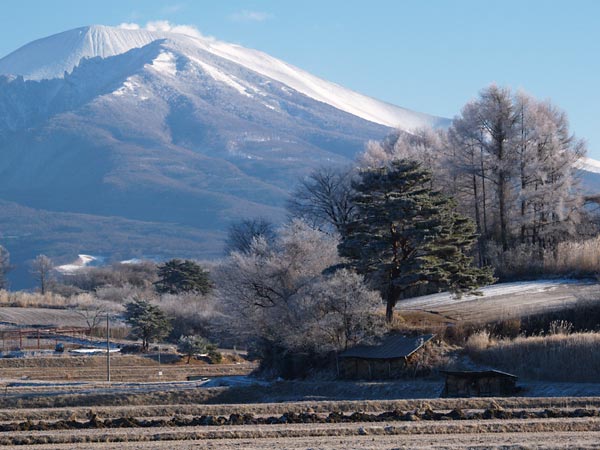 朝の浅間山