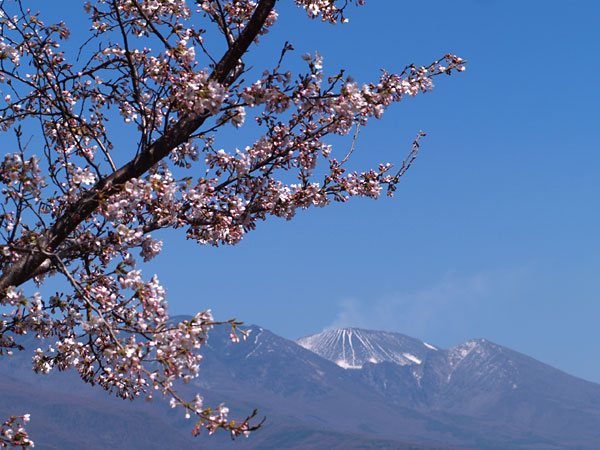 今日の浅間山