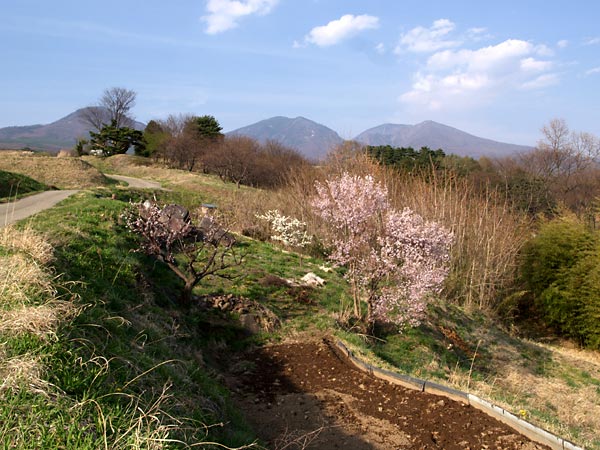 菱平からの浅間山