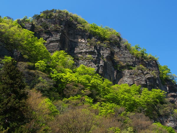 山萌ゆる、新緑の季節