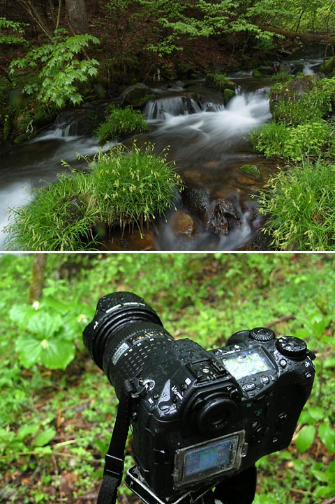 雨の中での撮影