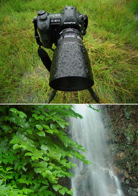雨の日の撮影