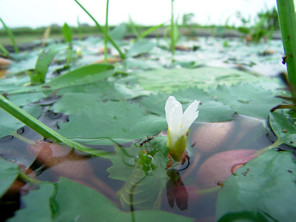 にほんかい写真学校