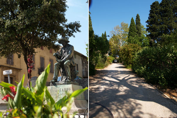 セリニャンの村（南フランス日記）