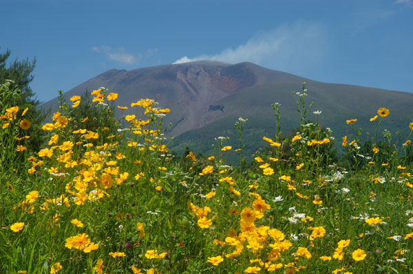 小諸日記番外編（R-D1　第1回）