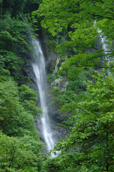 小諸日記番外編（R-D1　第4回）