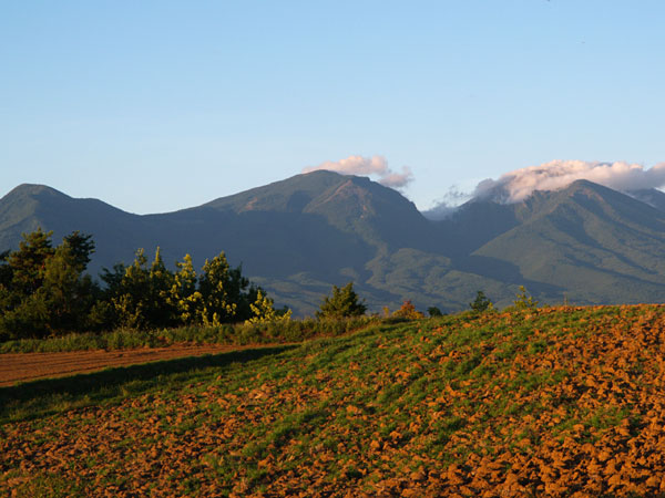 今日の浅間山