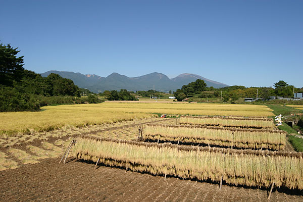 久しぶりの快晴