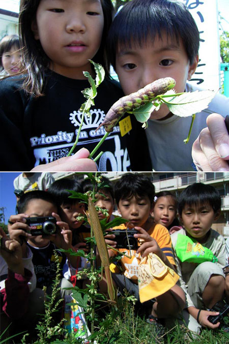 花園小学校で授業1
