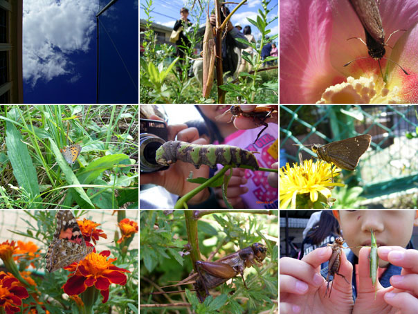花園小学校の皆さんが撮った写真