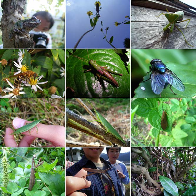 和良小学校の子供たちが撮った写真