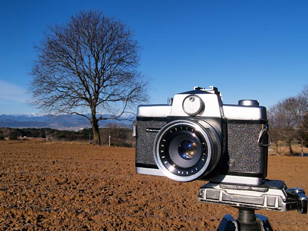 リコー 35 フレックス CdS