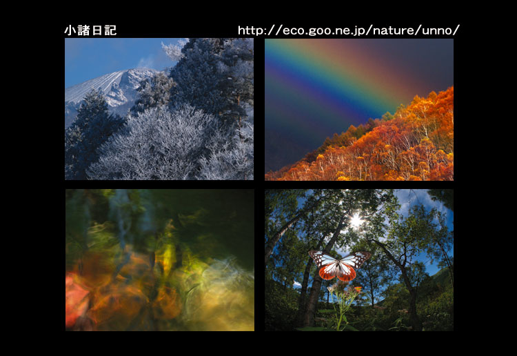 あけましておめでとうございます