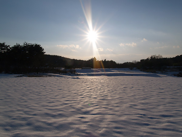 夕日に輝く雪