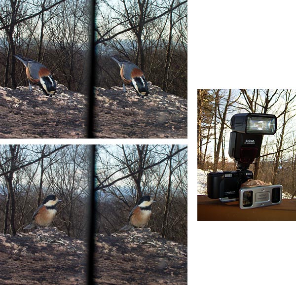 再度ヤマガラの立体写真に挑戦