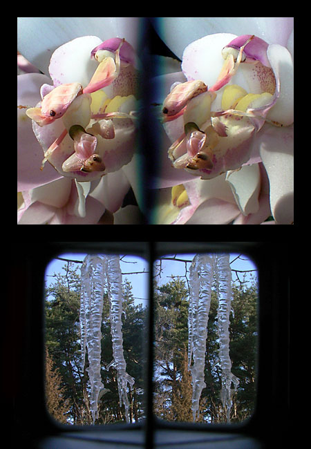 Caplio GXで立体写真（3D写真）を撮る