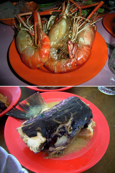 巨大テナガエビとナマズ